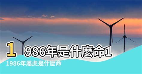 1986年屬|1986年出生是什麼命？